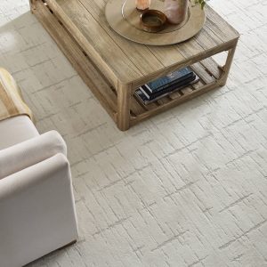 White Carpet | Gillenwater Flooring