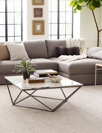 Living room Carpet flooring | Gillenwater Flooring