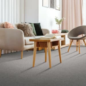 Living room carpet flooring | Gillen Water Flooring
