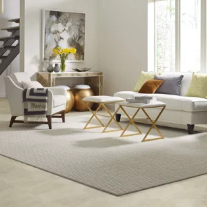 Area rug | Gillenwater Flooring